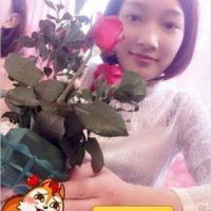 Copehonguyen Co profile icon