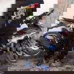 Thủy Rồng profile icon