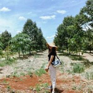 Cotton k’n profile icon