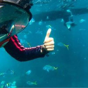 Miraa Hamka profile icon