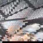 Dian Yahya profile icon