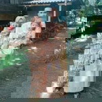 ดารุณี ดาเลง profile icon