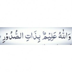 Dina Destriantini profile icon