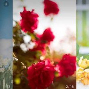 Zahro' Fathimatuz profile icon