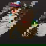 โก๋เก๋ เกี๋ยวก๊าววว profile icon