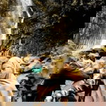 Shinta Fay profile icon