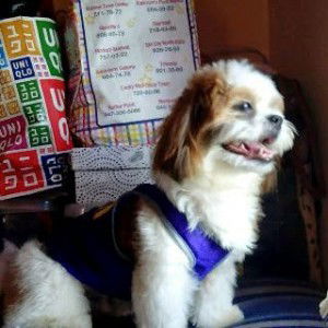 Ruby Quiocson profile icon