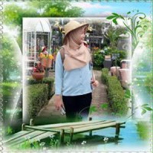 Hani Nur profile icon