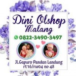 Dini Nur Indah Sari profile icon