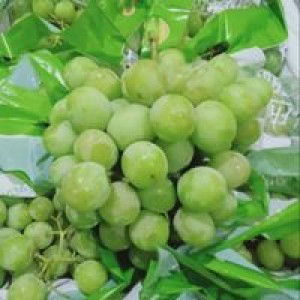 Nor Hidayah profile icon