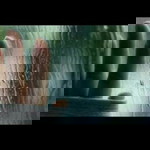 Mey sita profile icon