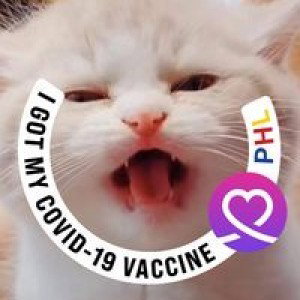 Romel Manota profile icon