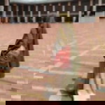 Danik Sekar Puspitasari profile icon