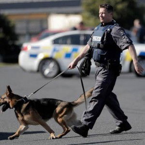 Dylan Stranger profile icon