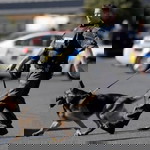 Dylan Stranger profile icon