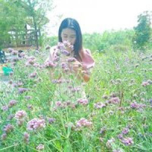 Phawika Csd profile icon