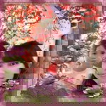 Deby Christine profile icon