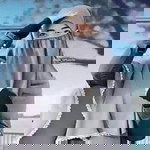 Ibnu Shoghir profile icon