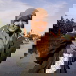 Shofi AM profile icon