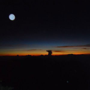 Umi Kulsum profile icon