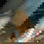 sri wahyuni profile icon