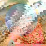 Sand Thawika profile icon