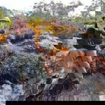 Muaylek Garfield profile icon