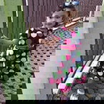 Belle's Channel profile icon