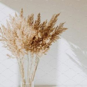 Muthmaa 29 profile icon