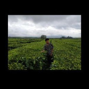 Bayu pratama profile icon