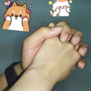 Nguyễn Trang profile icon