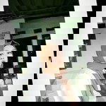 Desi Arizzta profile icon