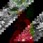 Nur Anugrah profile icon