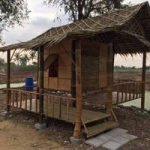 ห้า พฤษภา profile icon