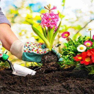 Seinee Vi Mula profile icon