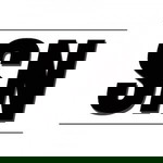 iera mania profile icon