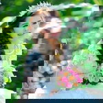 Pham Pha profile icon