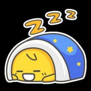 Putri Lailatul Farida profile icon