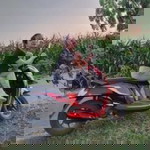 YouLii NuAmoorea Tulungagung profile icon