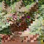 Mela Dia profile icon