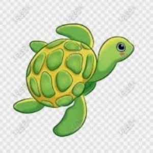 penyu 12 profile icon