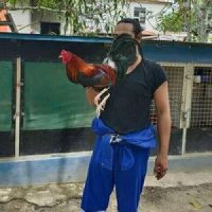 Fransisco Anchi profile icon