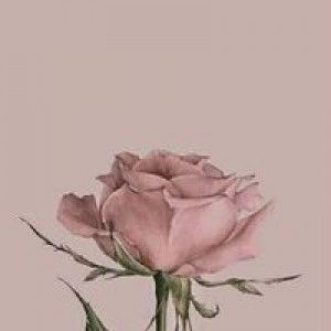 Lutviana Oky profile icon