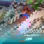 ณัฐพล สิงห์สู่ profile icon