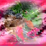 สกุณา ศรีโสภา profile icon