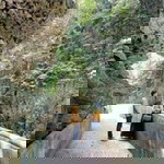 유나미스 profile icon