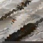 Zaratul Atiah profile icon