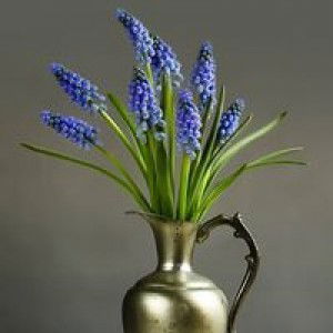 คิดใด้ เดี๋ยวบอก profile icon