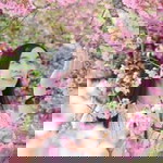 Rawiwan Mongkoltrakoolsuk profile icon