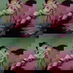 shinta widianti profile icon